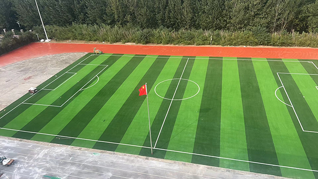  當(dāng)學(xué)校塑膠跑道在冬季出現(xiàn)裂縫的問題時(shí)，應(yīng)該怎么處理？